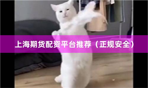上海期货配资平台推荐（正规安全）